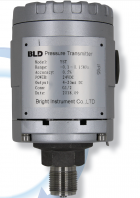 布莱迪BLD&Brighty紧固型压力变送器 YSTYST-GP.01.A2.J5.M20